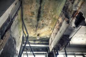 Best Emergency Mold Remediation  in Glendale, MS